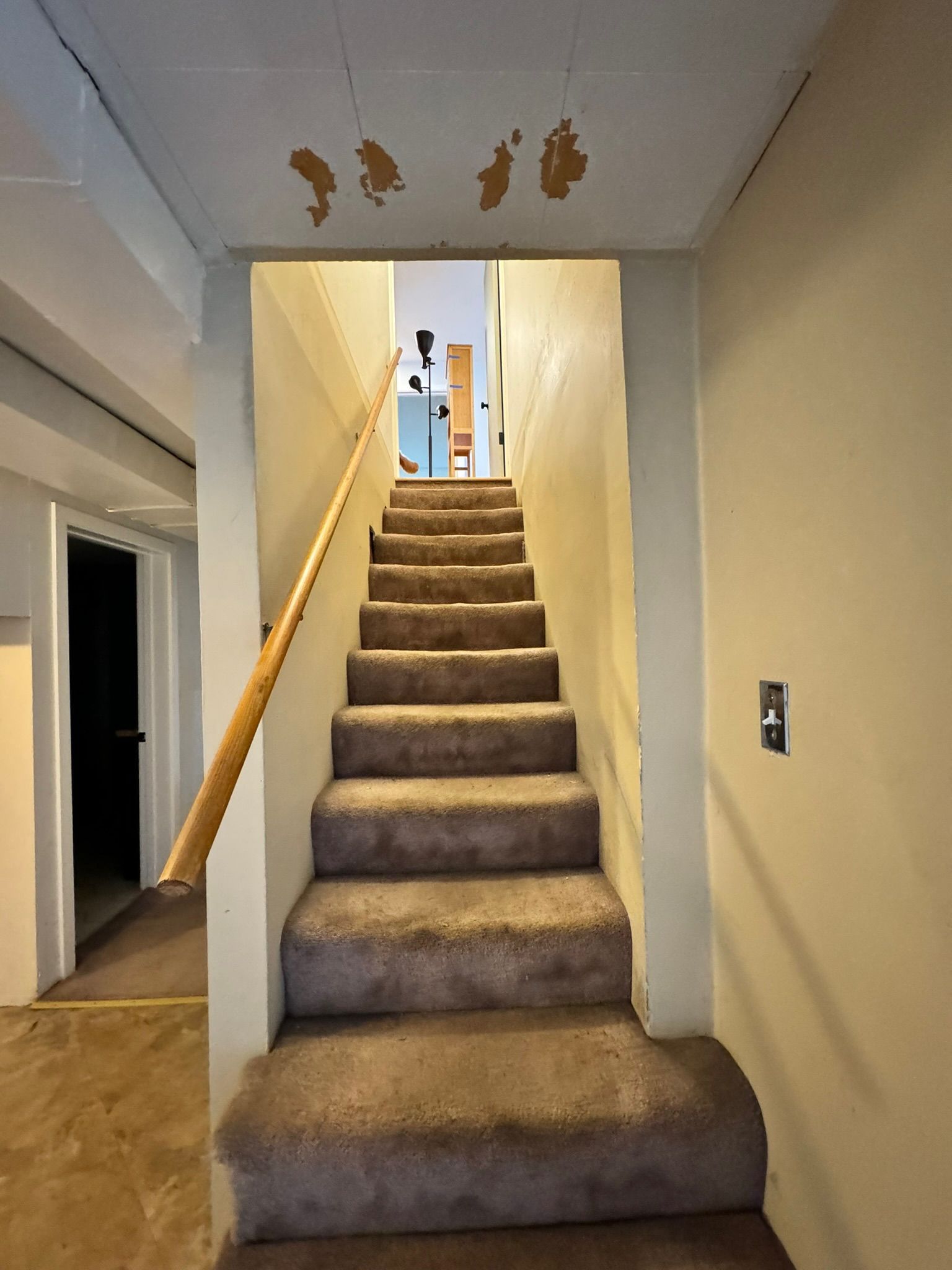 Carpeted staircase in a home hallway with peeling ceiling paint and a handrail on the left.