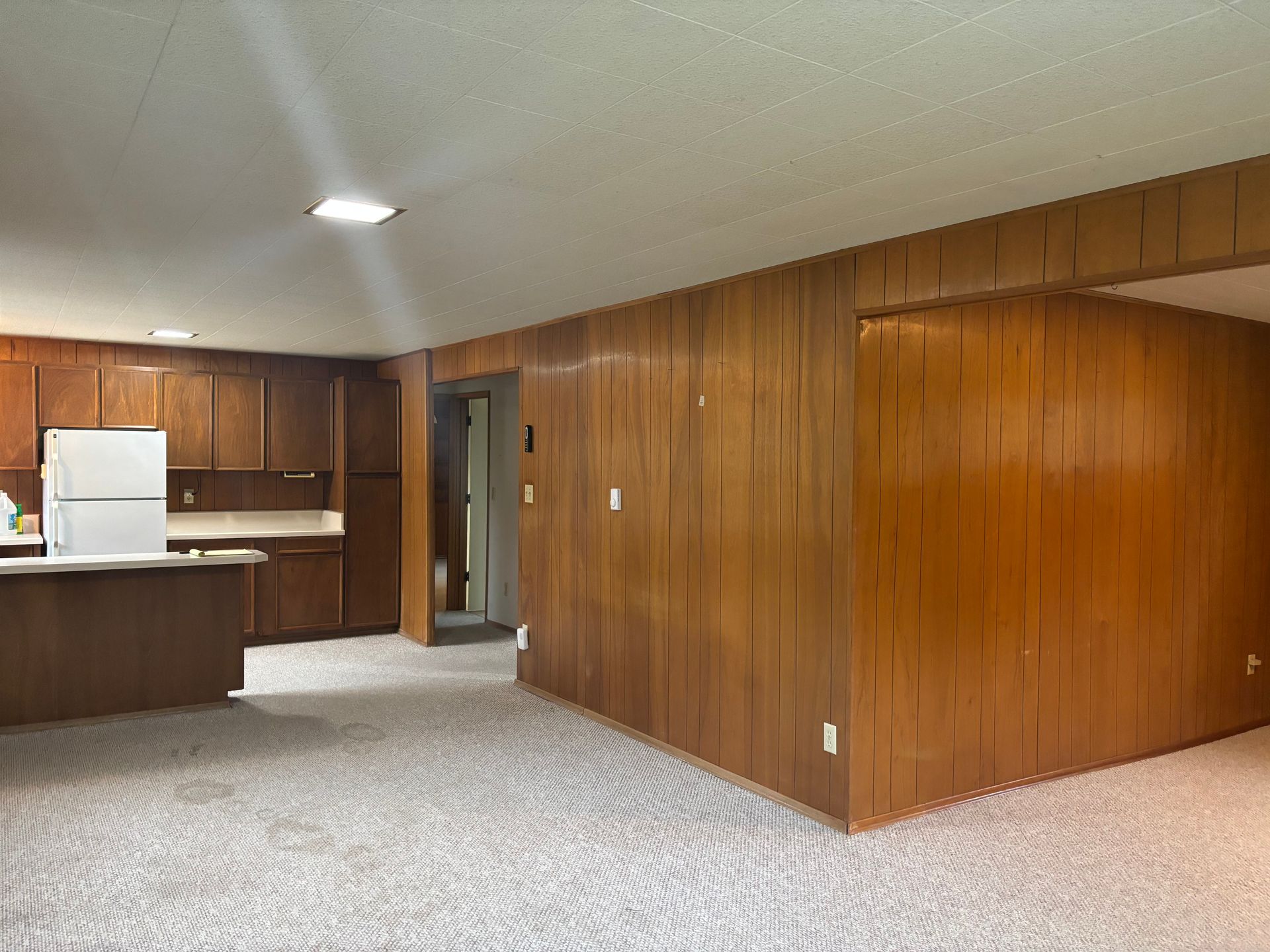 Empty wood-paneled living room with carpet, doorway, and a small kitchen area on the left.