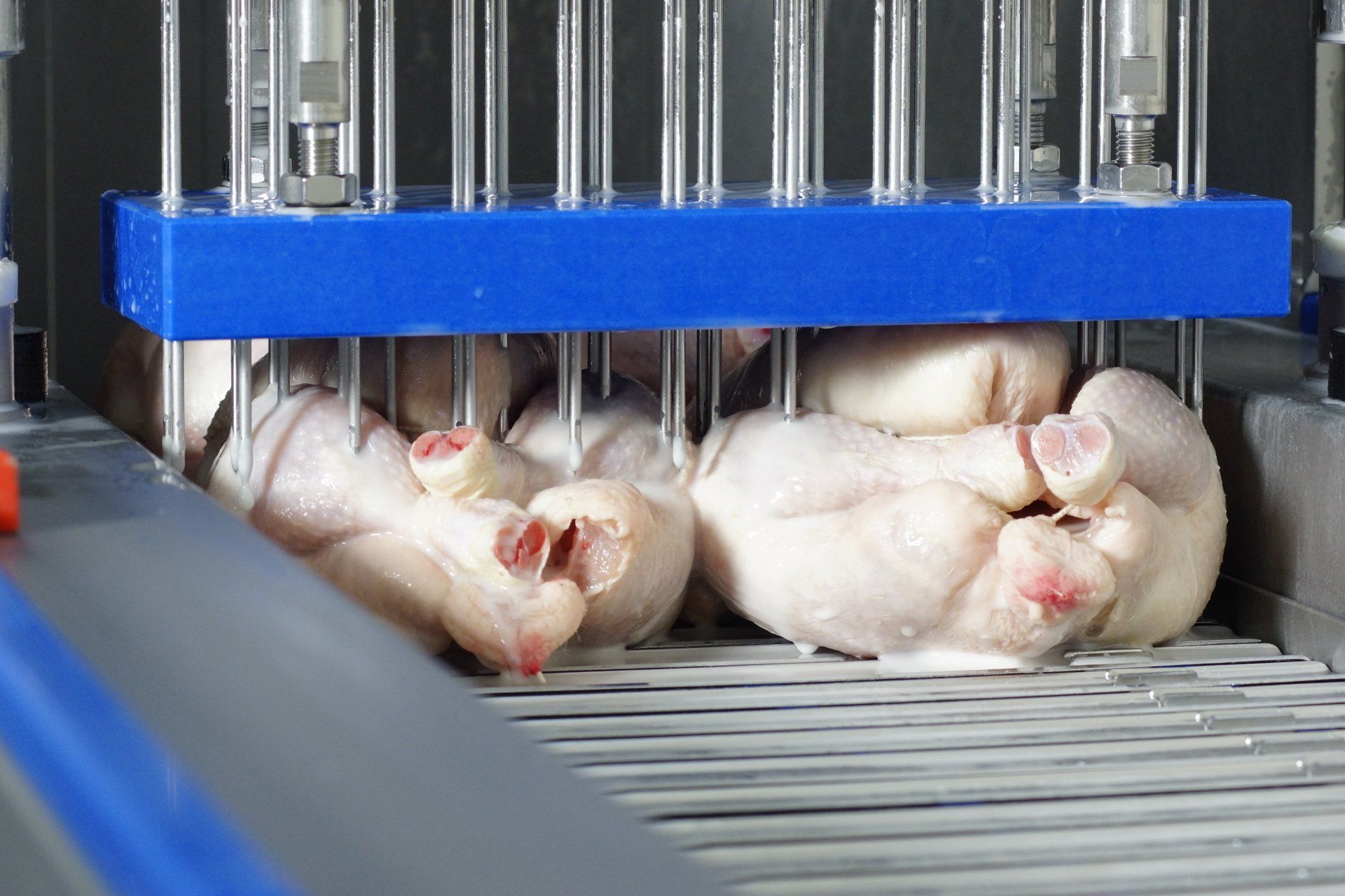Meat Injectors and Tenderizers | USA and Canada | Mainca USA Inc