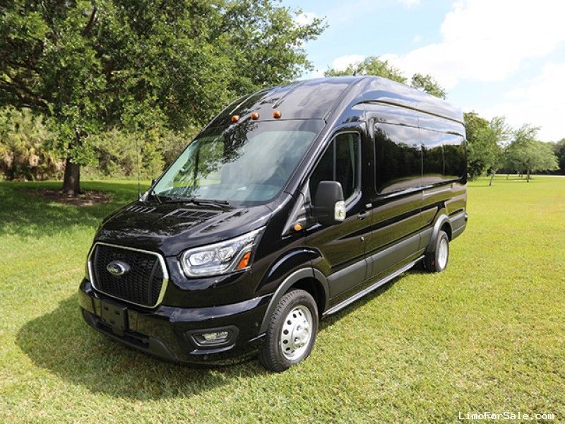 Black passenger van parked on grass in a sunny park beside trees