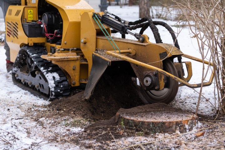 An image of Tree Company in Topeka KS