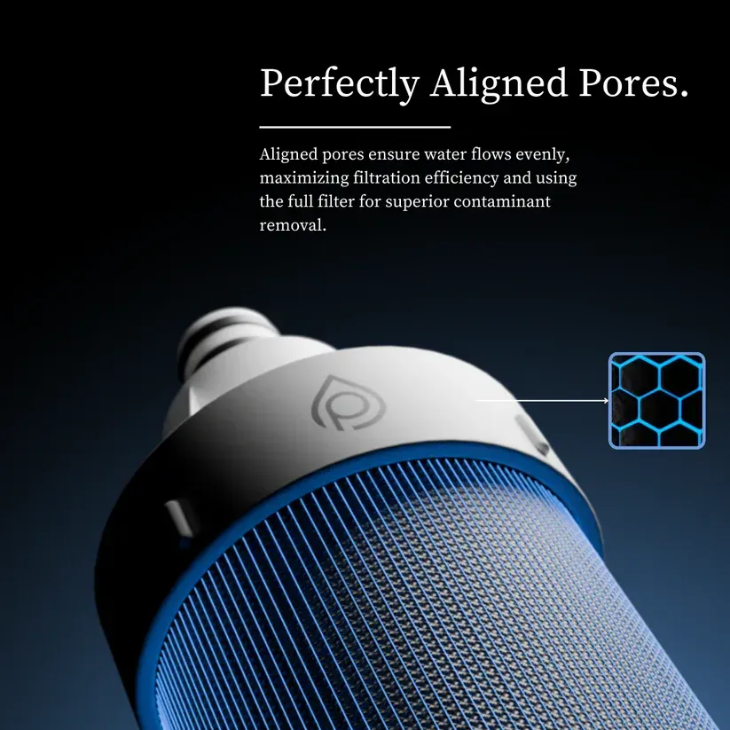 Cartouche de rechange P1