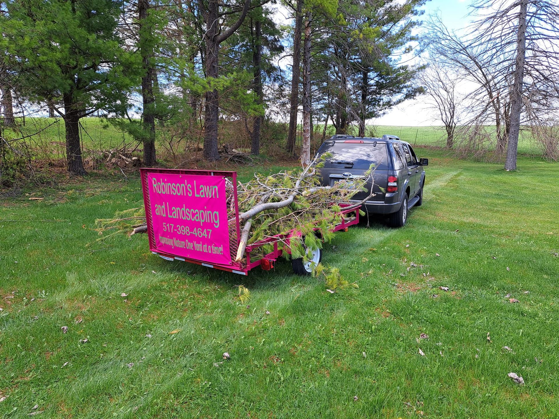 A car is pulling a trailer with a tree on it.