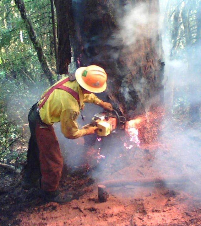 white tree trimming truck