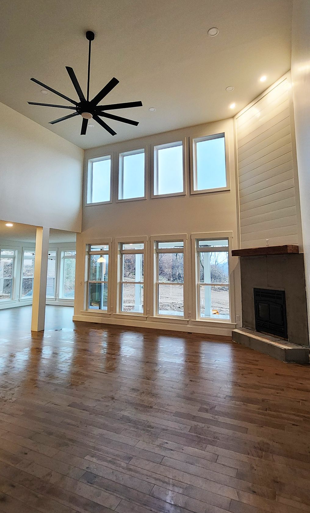 living windows fireplace