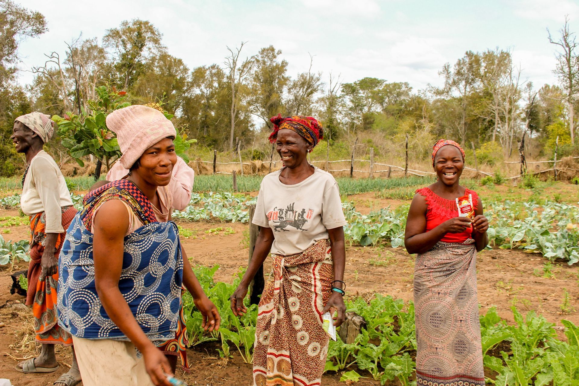 A group of smiling women smallholder cashew nut farmers in Mozambique 