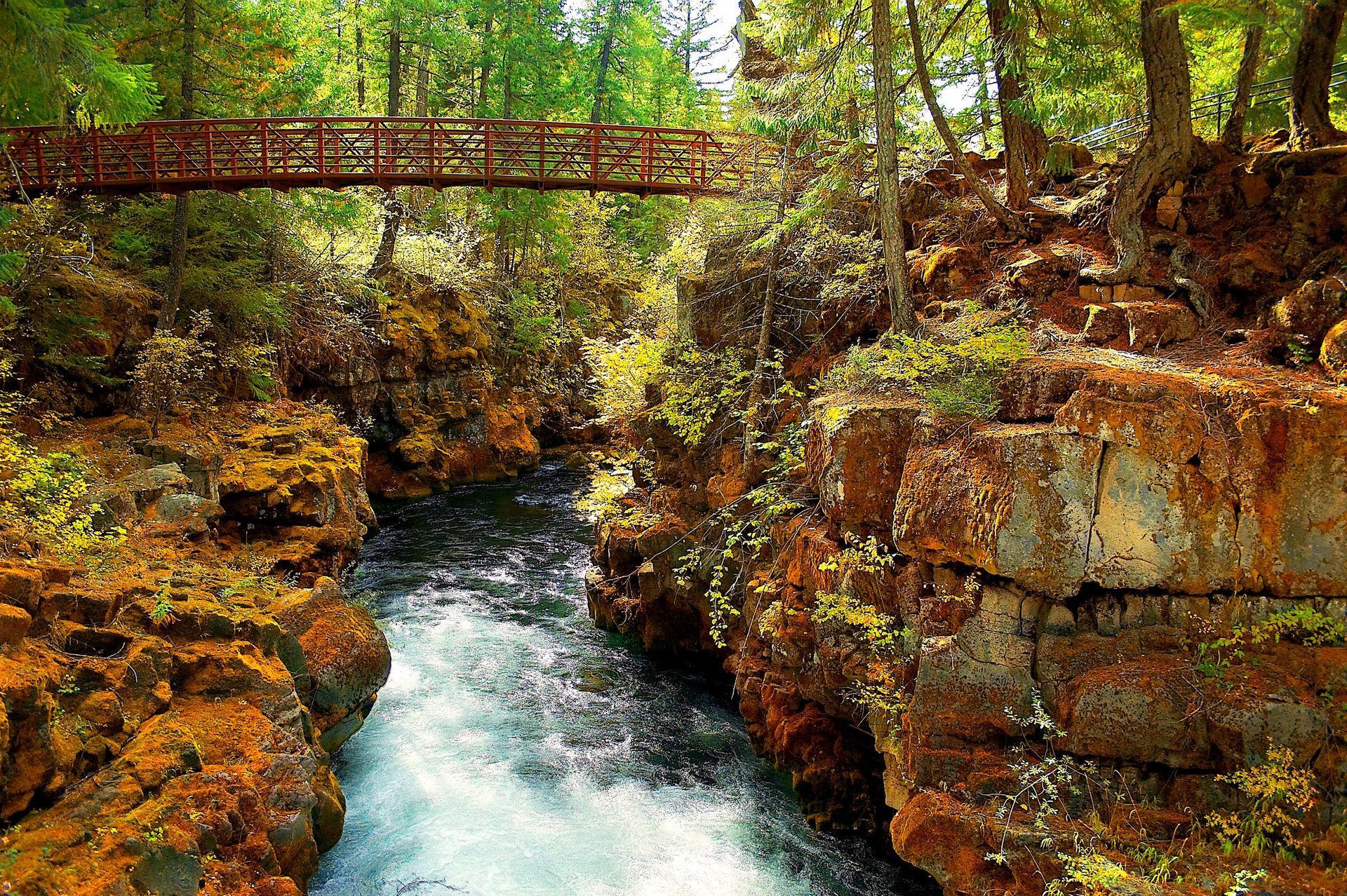 There is a bridge over a river in the woods.