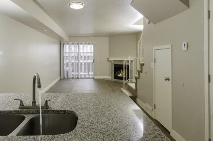 Vine Gate-Kitchen Sink 2