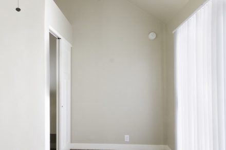 Vine Gate-Open Space