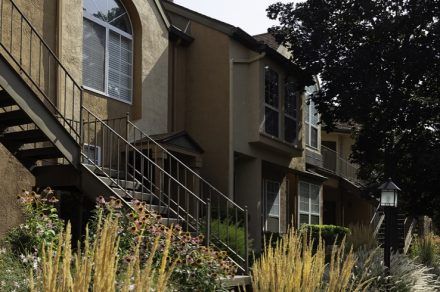 Vine-Gate-Exterior 1