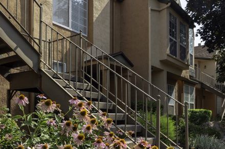 Vine-Gate-Exterior 2