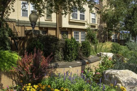 Vine-Gate-Exterior 4