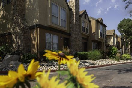 Vine-Gate-Exterior 8