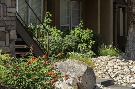 Vine-Gate-Exterior 9