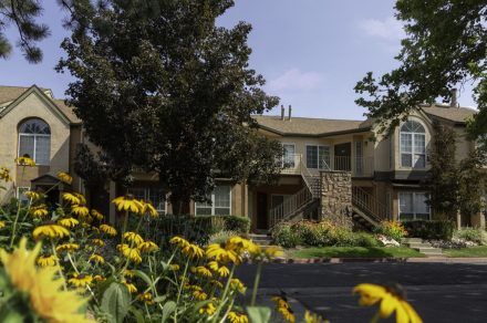 Vine-Gate-Exterior 14