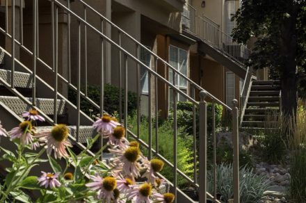 Vine-Gate-Exterior 15