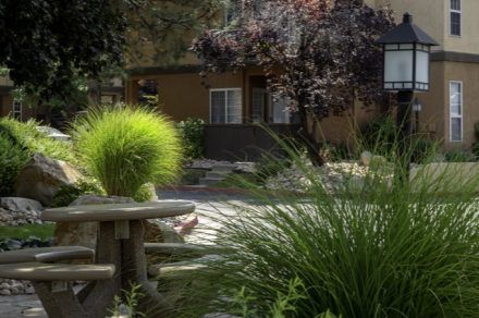 Vine-Gate-Exterior 21