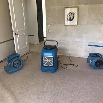 Three blue dehumidifiers and fans in a room with beige carpet; the door is open.