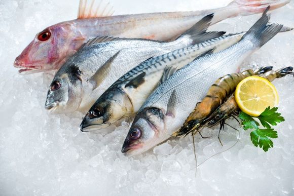 pesce surgelato qualità garantita