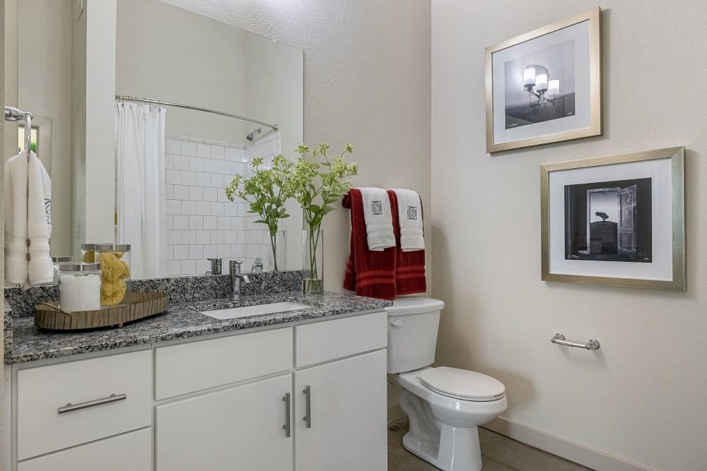 A neatly organized bathroom with white walls and a shower curtain, featuring a spacious vanity with a granite countertop and white cabinetry. Above the countertop is a large mirror reflecting a well-lit room, with towels hanging to the right above a toilet. Decorative elements include a vase with greenery, toiletry items, and two framed black and white photographs on the wall at Marq on Burnet in Austin, TX.