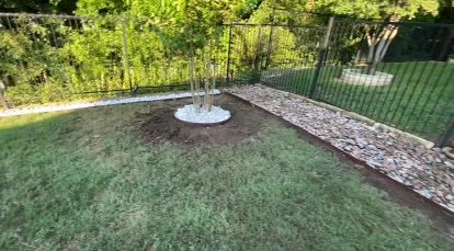 A tree is sitting in the middle of a lush green lawn next to a fence.