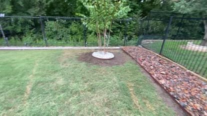 A tree is sitting in the middle of a lush green lawn next to a fence.