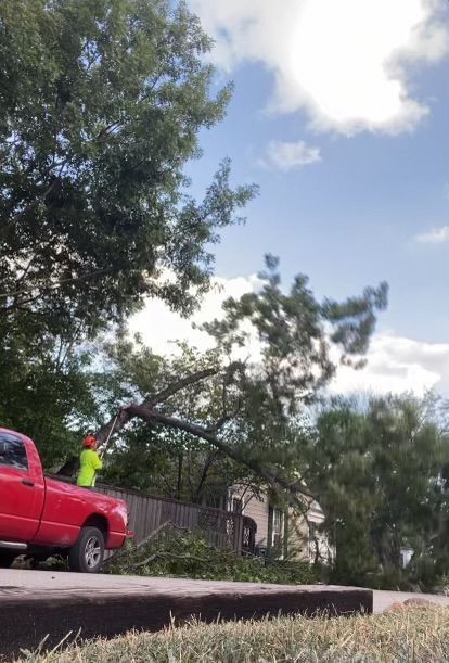 A red truck is parked on the side of the road next to a tree.