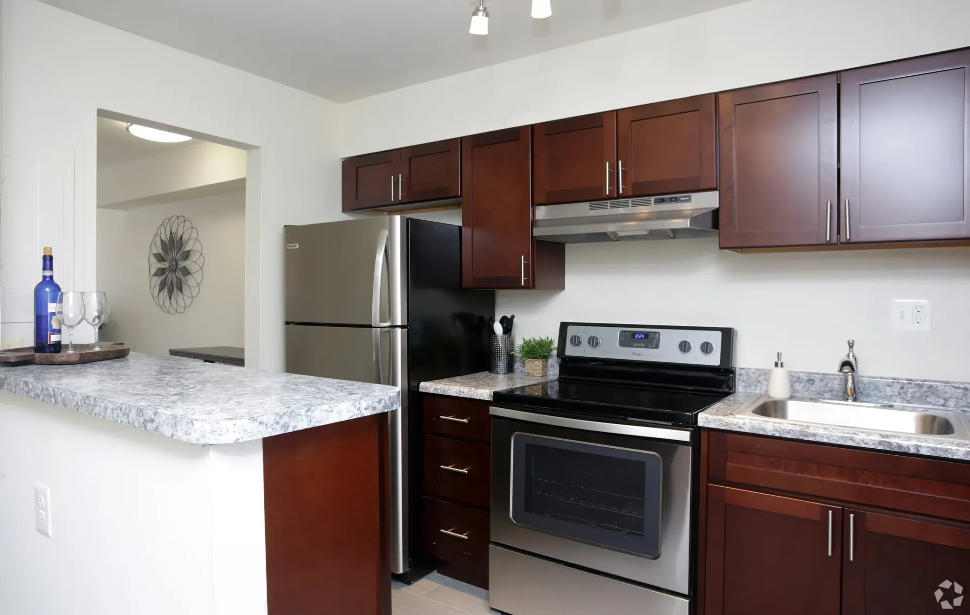 Modern kitchen with dark wood cabinets, stainless steel appliances, and marble countertop.