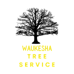 Waukesha Tree Service