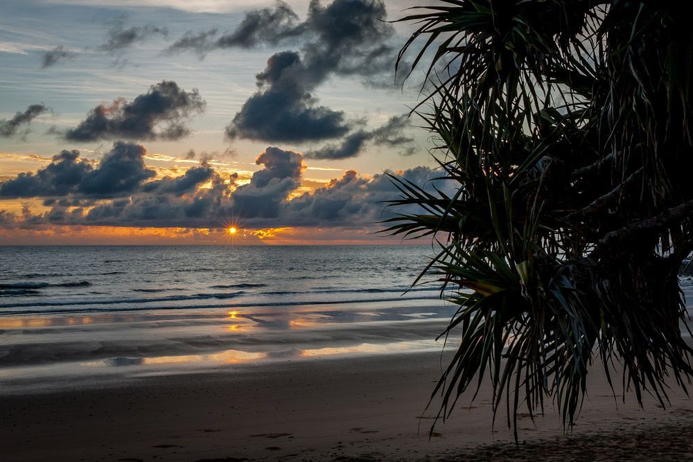A Sunset Over The Ocean With A Palm Tree In The Foreground — CAL AUTO Mobile Roadworthys in Bargara, QLD