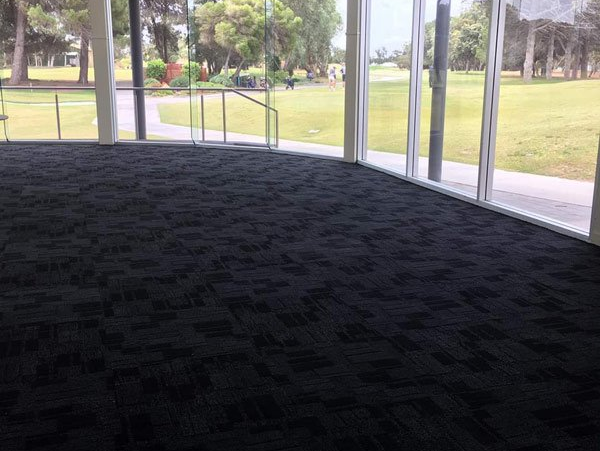 carpet floor by window