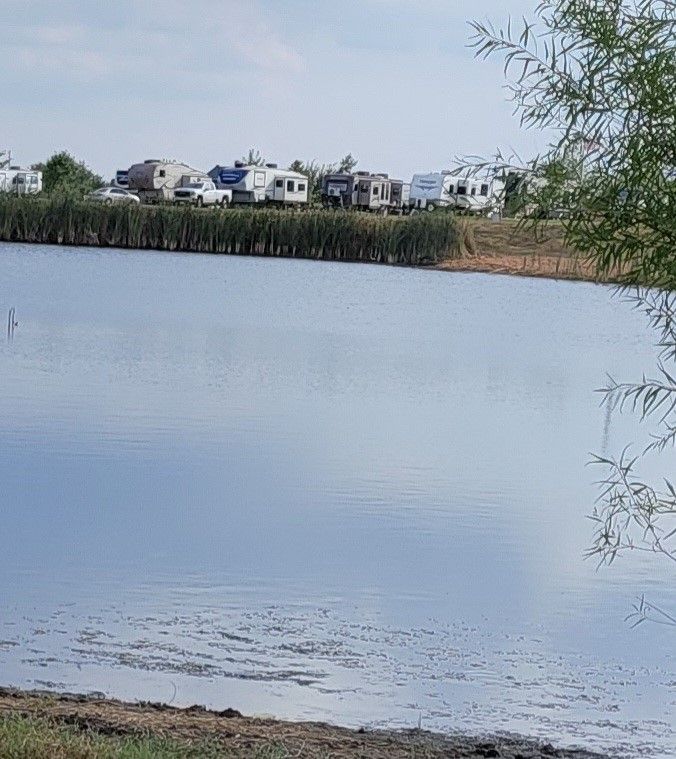 Calm lake with RVs on the far shore, reeds line the banks, tree in the foreground.