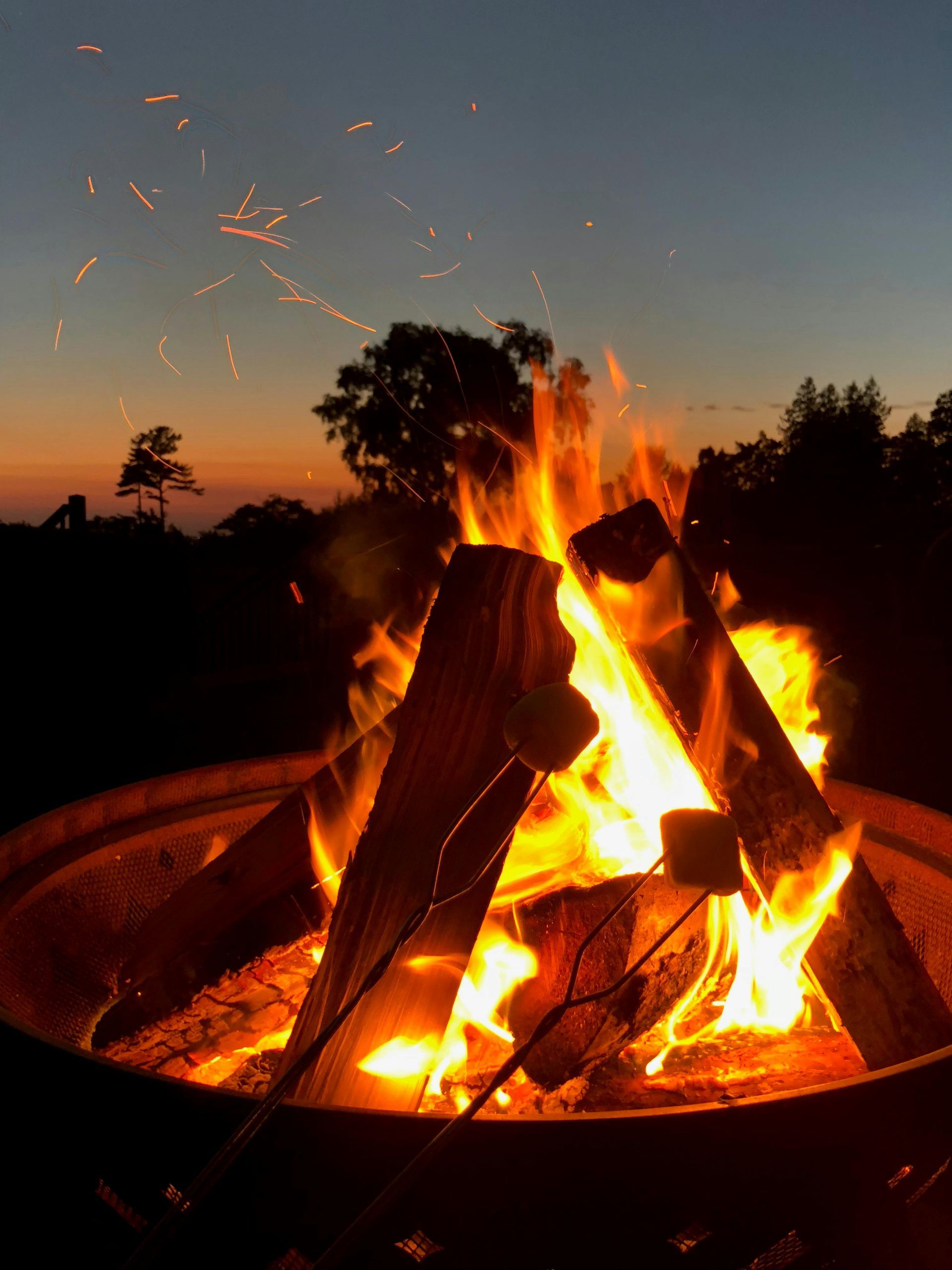 Fire pit at dusk, burning logs with flames and sparks, marshmallow roasting, dark trees.
