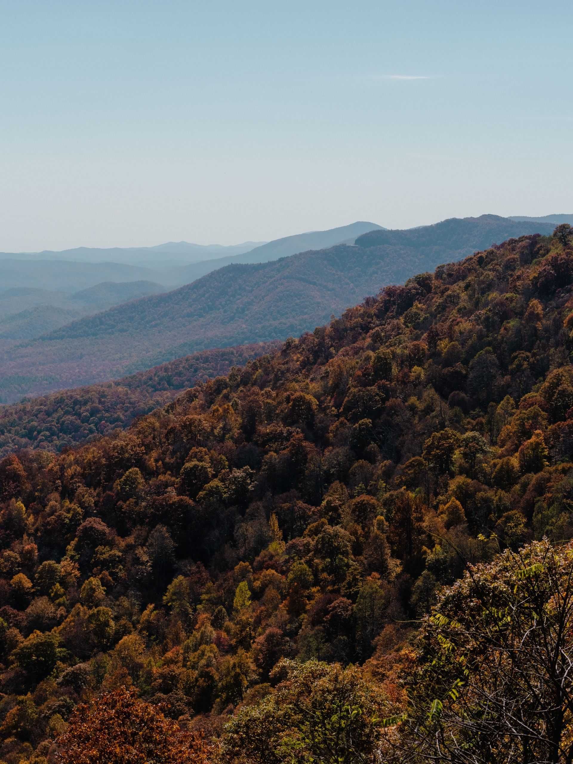 A man and woman walking in an office, the man holding a clipboard, people at a table in the background.