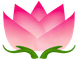 Pink lotus flower with green hands cupping the bottom.