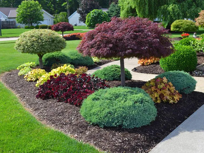 A colorful, manicured garden bed with trimmed trees, shrubs, and mulch, located in a residential yard.
