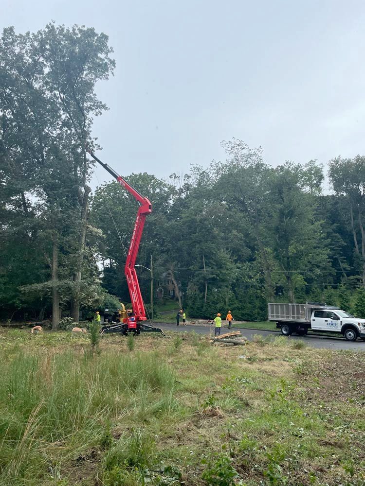 A red crane is cutting down a tree in a field.
