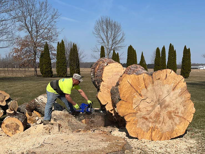 A man is cutting a large tree stump with a chainsaw.