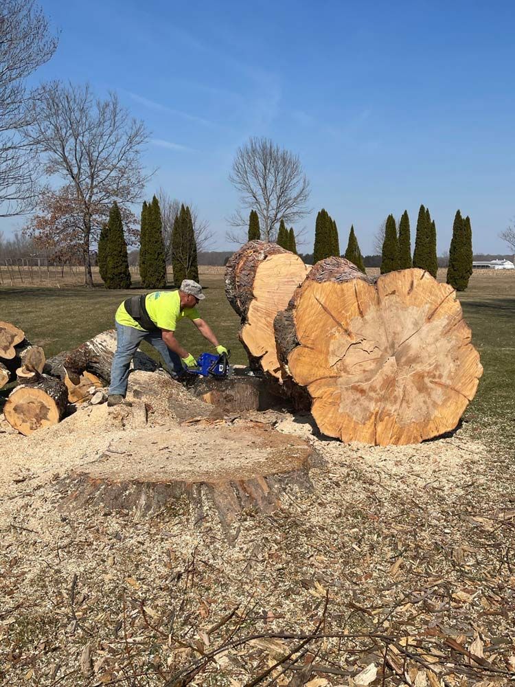 A man is cutting a tree stump with a chainsaw.