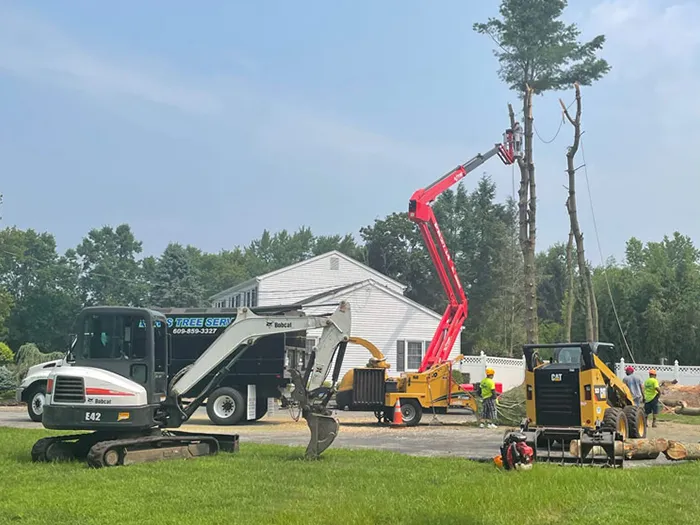 Tree removal service in a residential yard with a red boom lift, a white excavator, and a yellow skid steer loader.