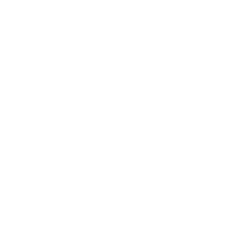 amendola storage logo