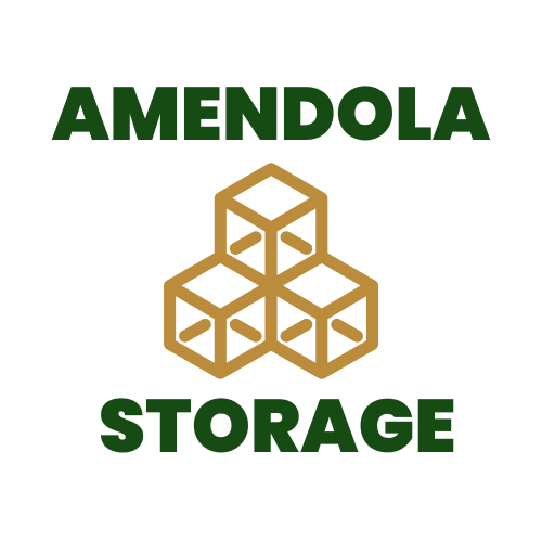 amendola storage logo