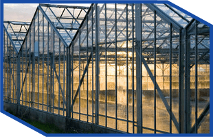 greenhouse