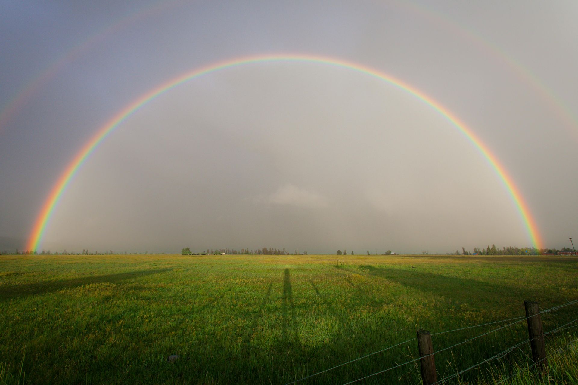 Un arc-en-ciel est visible au-dessus d'un champ herbeux