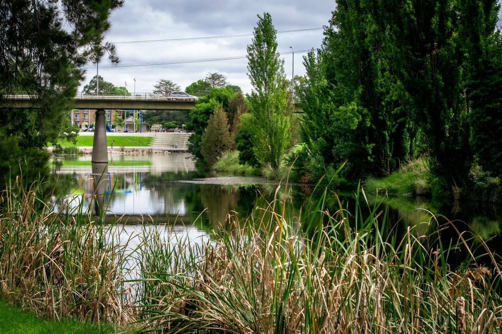 Bridge Over A River Surrounded By Tall Grass And Trees — Precast Concrete Solutions in Queanbeyan, NSW
