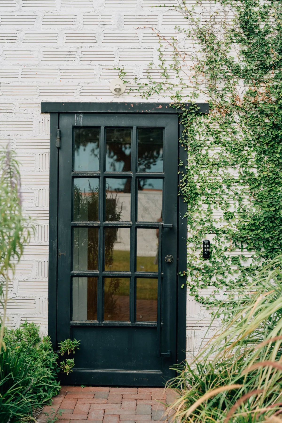 A black door is surrounded by ivy on a white brick wall.