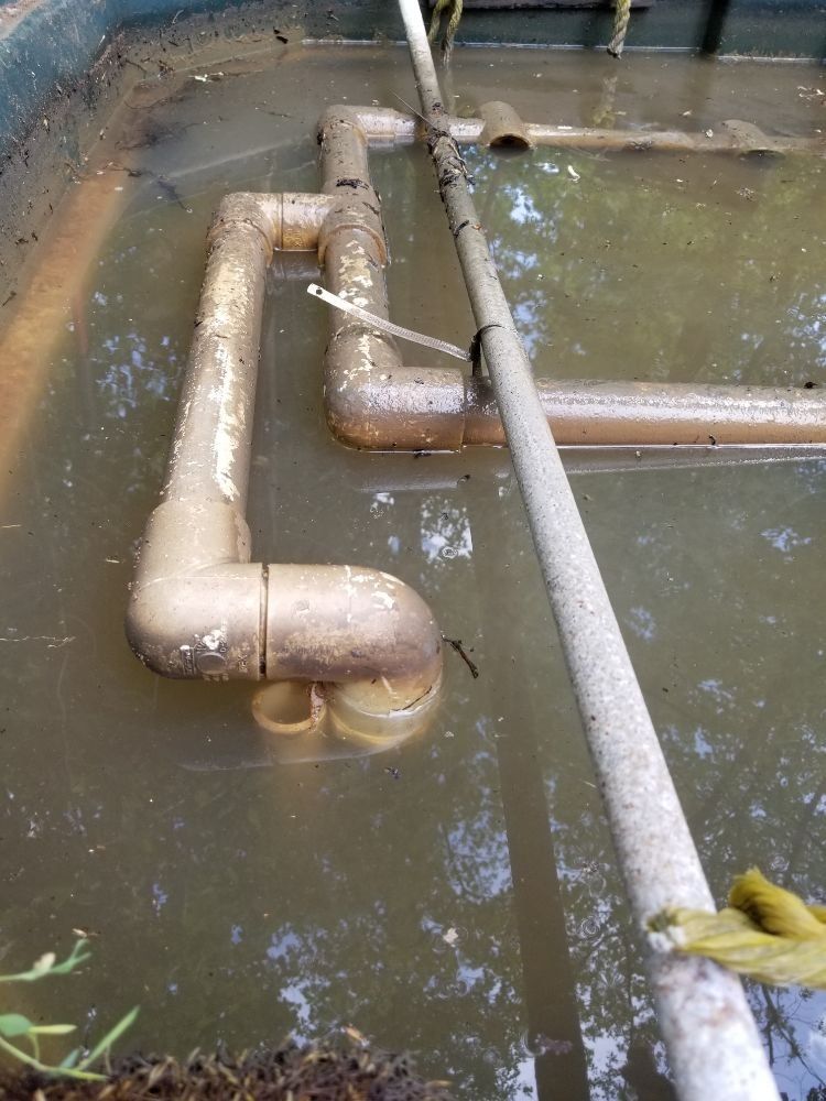 A bunch of pipes are floating in a pool of water.