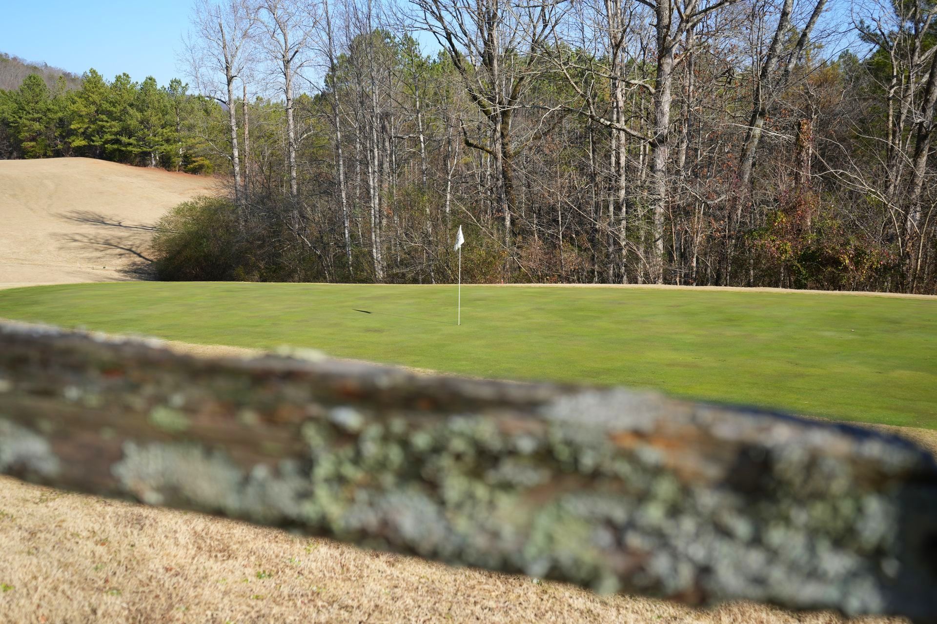 Trenton golf club in Trenton Georgia hole from behind home fence At The Trenton Project