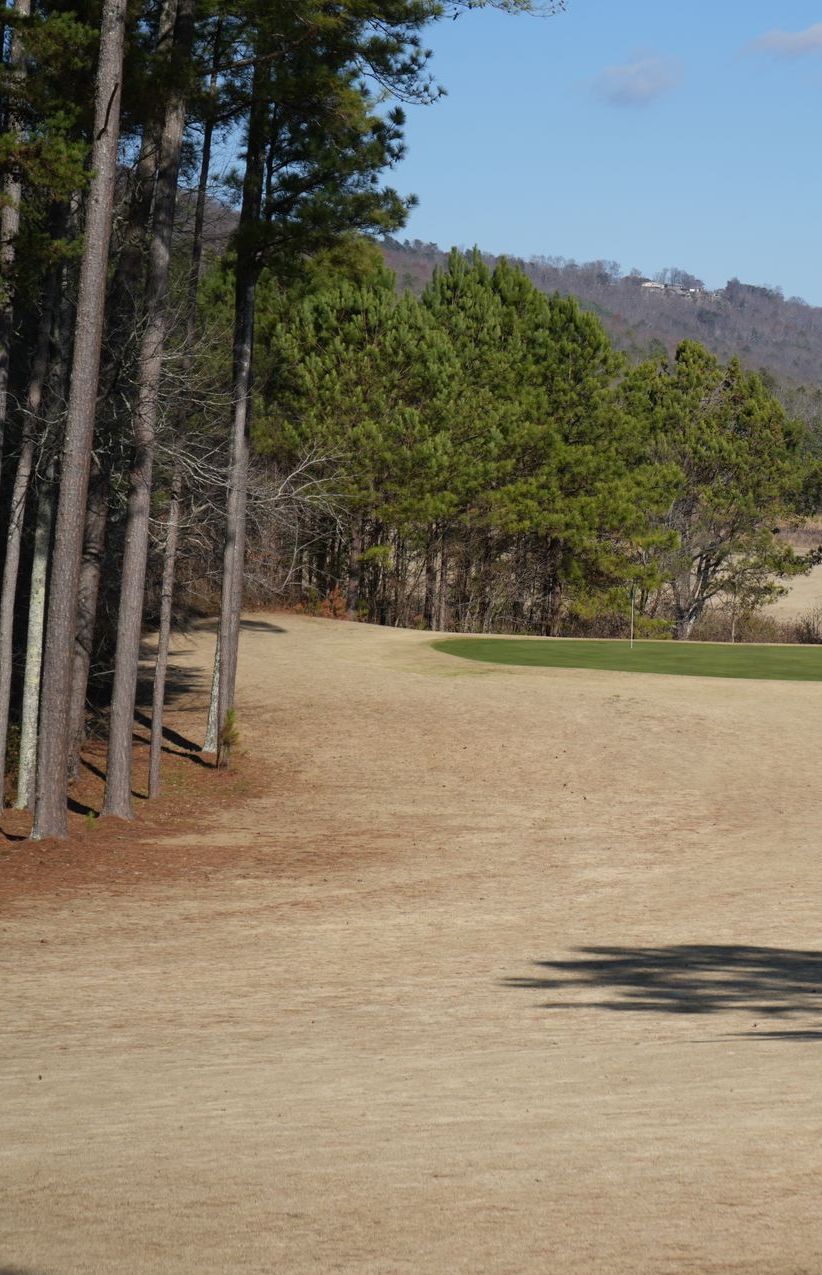 Trenton Project Greens Living On The Golf Course Hole in Trenton Georgia