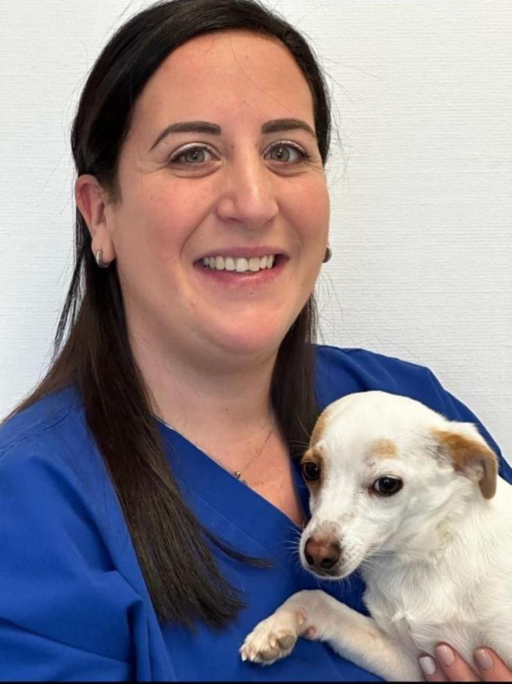 femme assistante vétérinaire qui sourit avec un chat noir dans ses bras